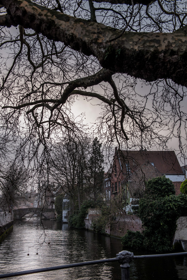 Bruges (16)